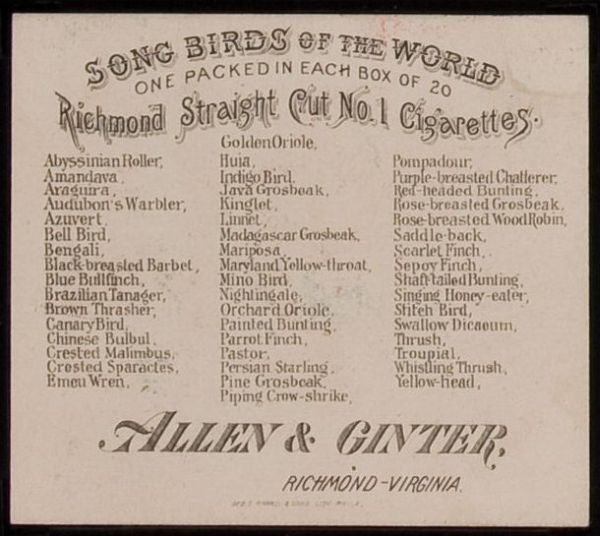 N42 Allen and Ginter Song Birds of the World
